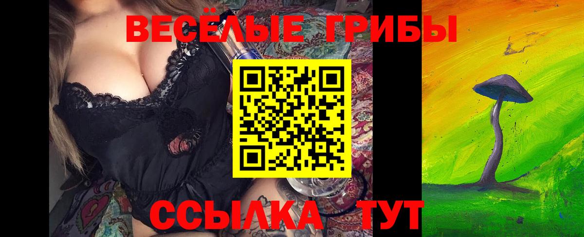 Псилоцибиновые грибы мицелий Нерюнгри