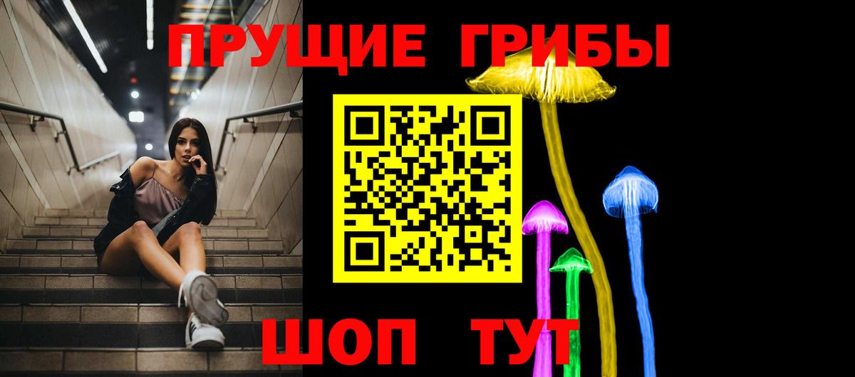 Нерюнгри  Галлюциногенные грибы Psilocybine cubensis  Вход с VPN 