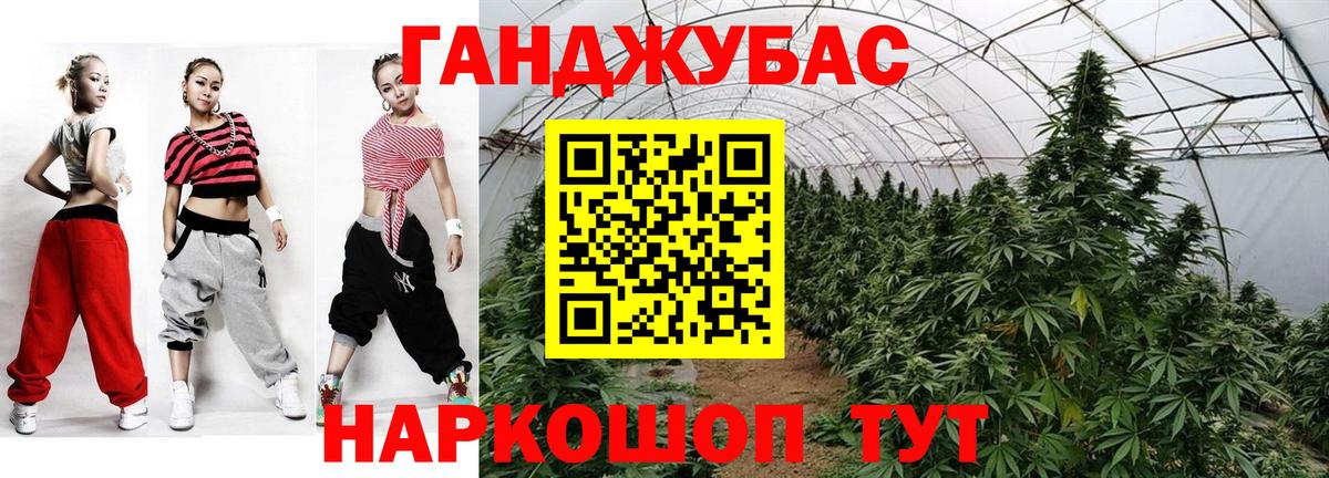 Каннабис сатива Нерюнгри